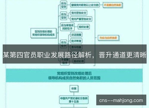 某第四官员职业发展路径解析，晋升通道更清晰